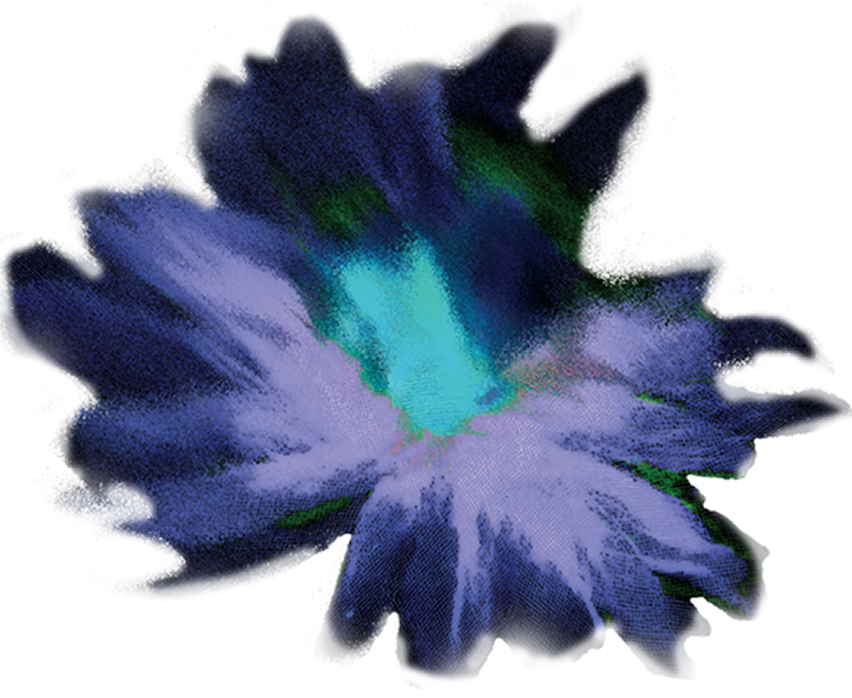 OPENING CEREMONY (BY INVITATION)