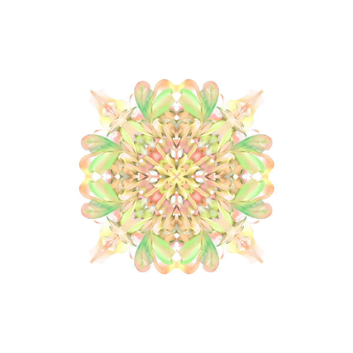 Zhan Lam Lam - Radiant 04