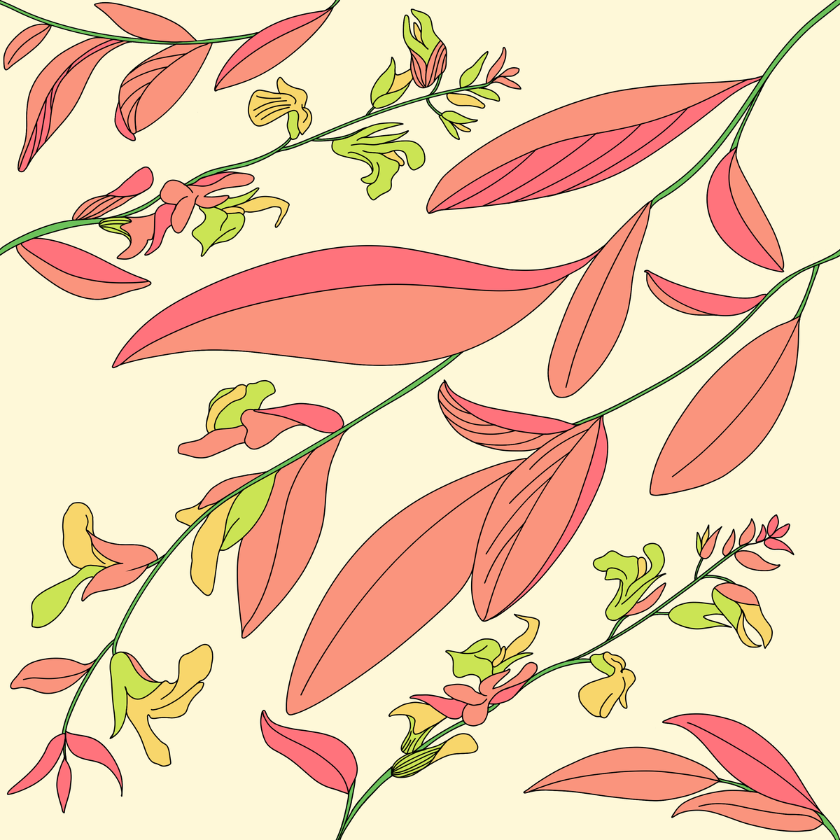 Chan Ka Yan - Radiant 01